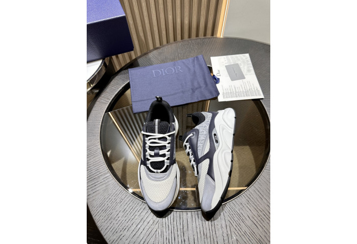 DIOR B22 SNEAKERS -45