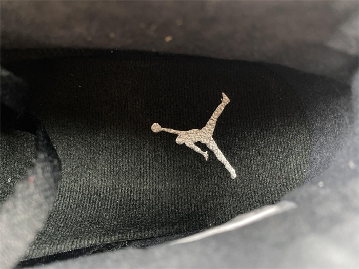 jordan 6 retro metallic silver-dx2836-001
