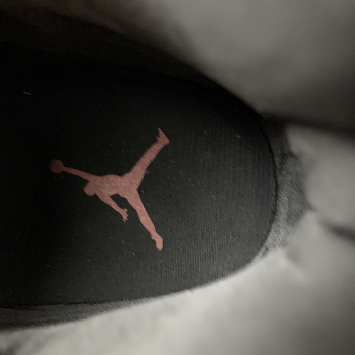 air jordan 11 “animal instinct” ar0715-010