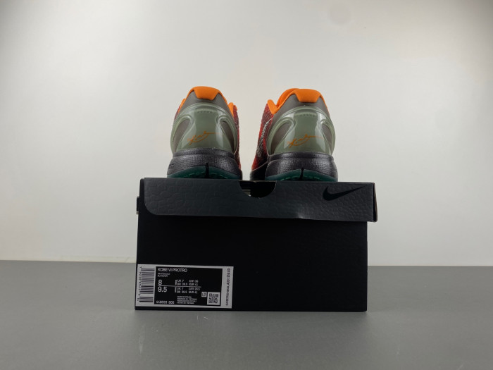 Zoom Kobe 6