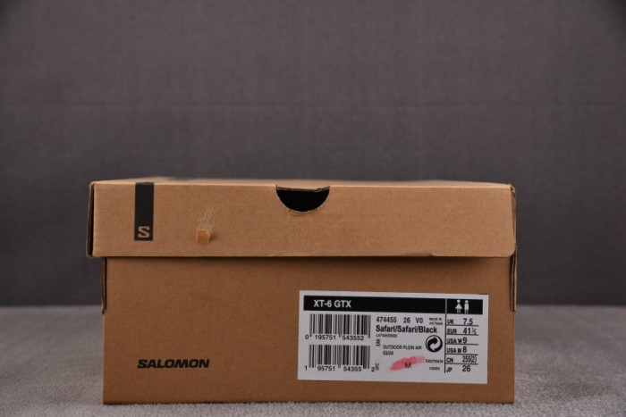 SALOMON SHOES