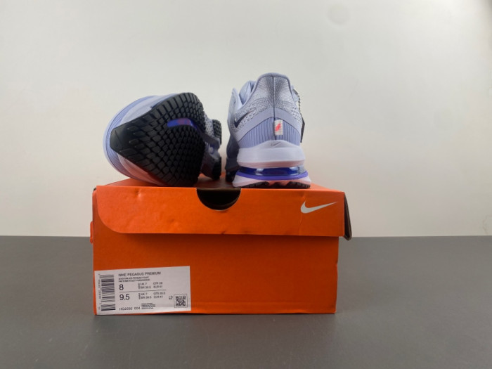 Nike Pegasus Premium 