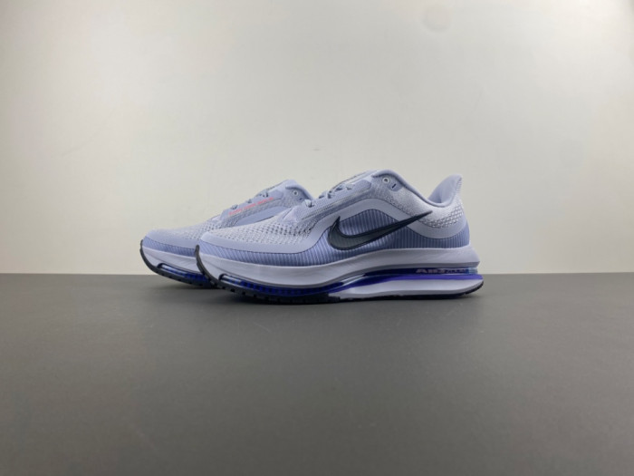 Nike Pegasus Premium 