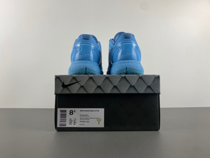 Zoom Kobe 6-PE2023-100