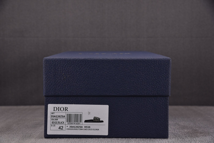 DIOR SANDAL 06