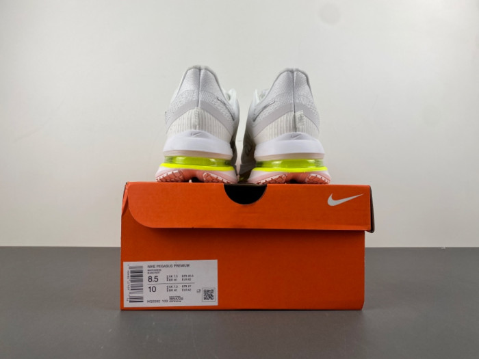 Nike Pegasus Premium-HQ2592-100