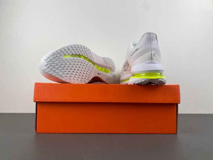 Nike Pegasus Premium-HQ2592-100