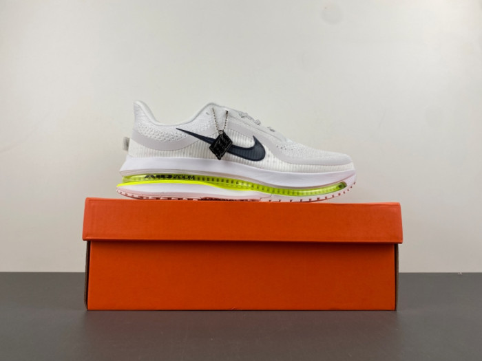 Nike Pegasus Premium-HQ2592-100